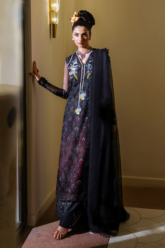 Picture of Black Swan